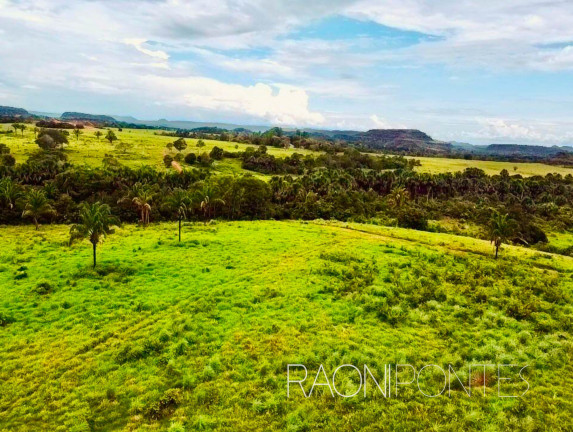 Imagem Fazenda à Venda, 18.030.000 m² em Zona Rural