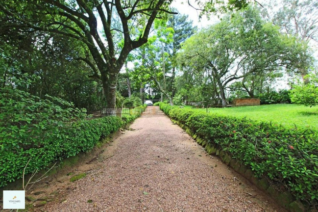 Imagem Imóvel com 3 Quartos à Venda, 3.500 m² em Parque Guaíba - Eldorado Do Sul
