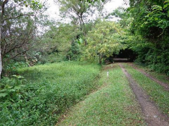 Foto do imóvel Terreno à Venda,  em Lagoa Da Conceição - Florianópolis