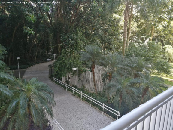 Imagem Apartamento com 4 Quartos à Venda, 187 m² em Jardim Taquaral - São Paulo