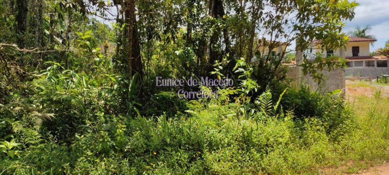 Foto do imóvel Terreno à Venda, 750 m² em Massaguaçu - Caraguatatuba Foto do imóvel Terreno à Venda, 750 m² em Massaguaçu - Caraguatatuba