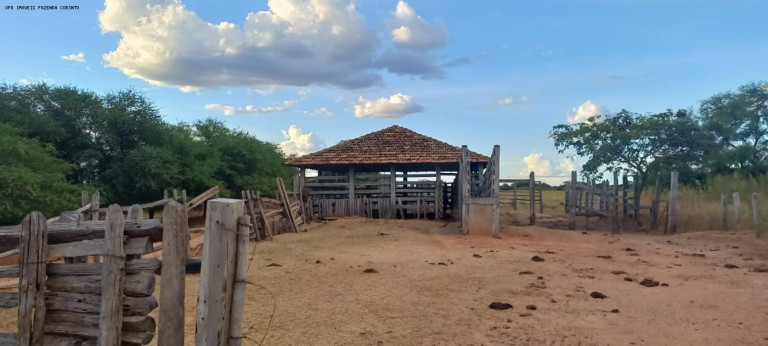 Imagem Fazenda à Venda, 950 m² em Zona Rural - Verdelândia