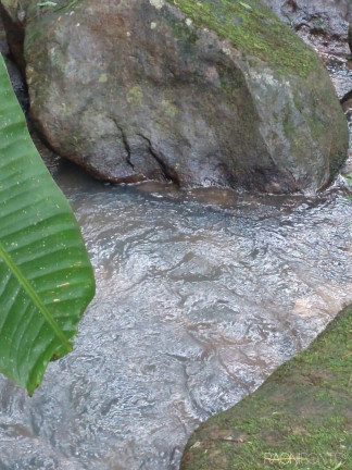 Imagem Chácara com 5 Quartos à Venda, 256 m² em Papucaia - Cachoeiras De Macacu
