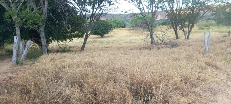 Imagem Fazenda à Venda, 950 m² em Zona Rural - Verdelândia