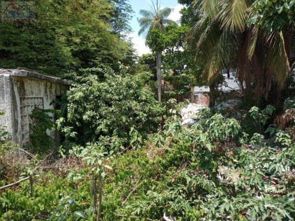 Imagem Terreno à Venda, 600 m² em Jardim Atlântico - Olinda