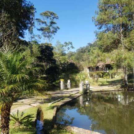 Imagem Chácara com 5 Quartos à Venda, 20 m² em Jardim Ouro Preto - Nova Friburgo