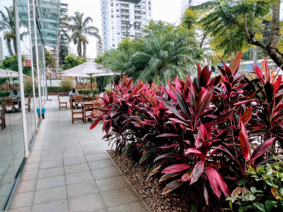 Foto do imóvel Sala Comercial à Venda, 38 m² em Centro - Joinville