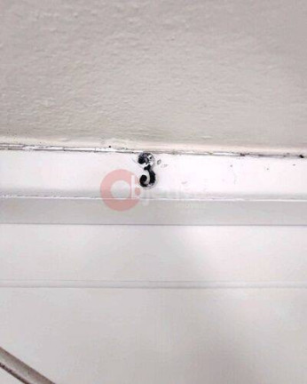 Foto do imóvel Casa com 2 Quartos à Venda, 60 m² em Portinho - Cabo Frio