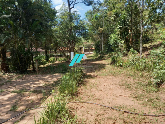 Imagem Fazenda à Venda, 30.000 m² em Satelite - Juatuba