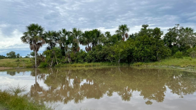 Imagem Fazenda à Venda, 500 m² em Zona Rural - Aliança Do Tocantins