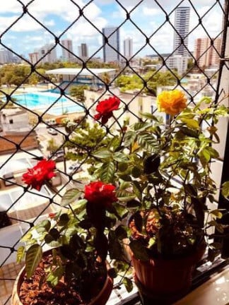 Foto do imóvel Apartamento com 2 Quartos à Venda, 46 m² em Boa Viagem - Recife