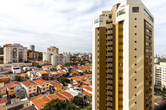 Imagem Apartamento com 3 Quartos à Venda, 154 m² em Alto Da Lapa - São Paulo