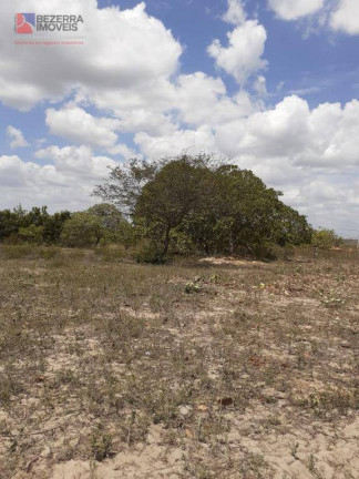 Imagem Fazenda à Venda, 50.000 m² em Centro - João Câmara