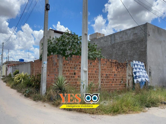 Imagem Terreno à Venda, 300 m² em Papagaio - Feira De Santana