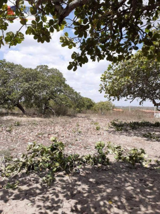 Imagem Fazenda à Venda, 50.000 m² em Centro - João Câmara