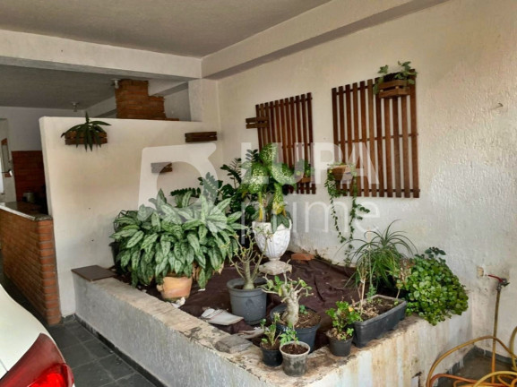 Imagem Casa com 3 Quartos à Venda, 200 m² em Jardim Guanca - São Paulo