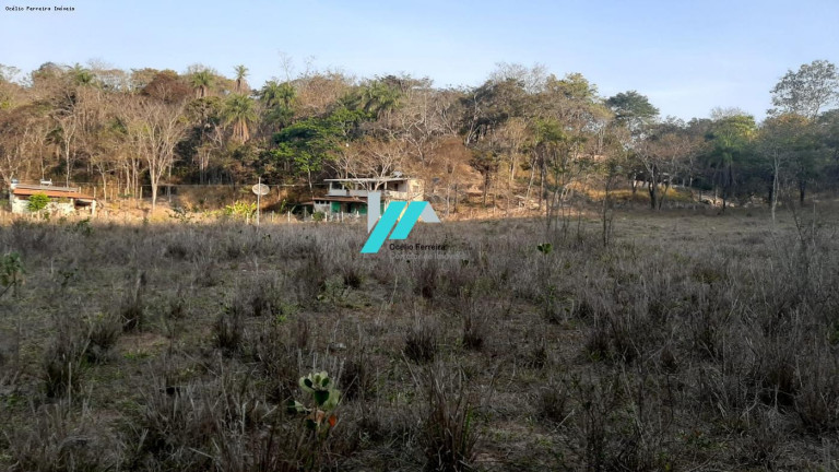 Imagem Fazenda à Venda, 7 m² em Zona Rural - Florestal