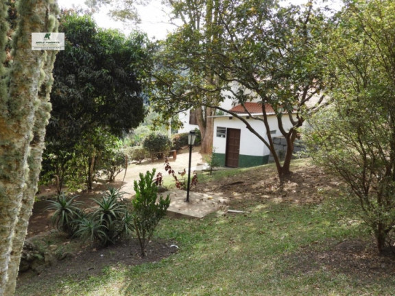 Imagem Chácara com 3 Quartos à Venda, 5.000 m² em Mailasqui - São Roque