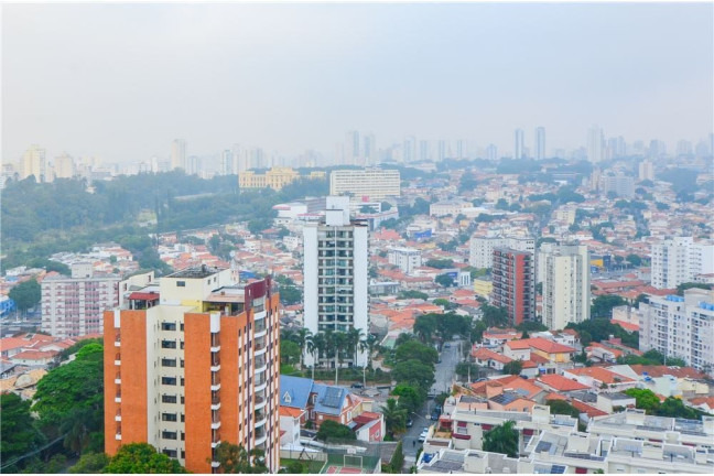 Imagem Apartamento com 3 Quartos à Venda, 74 m² em Vila Monumento - São Paulo