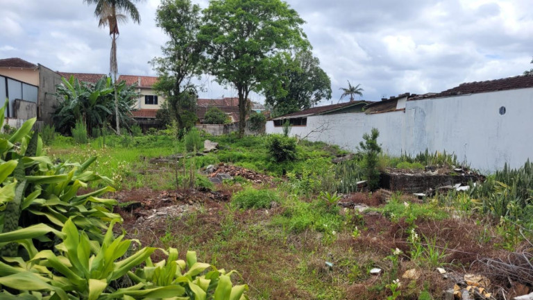 Foto do imóvel Terreno à Venda, 876 m² em Floresta - Joinville
