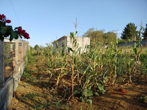 Foto do imóvel Terreno à Venda, 500 m² em Mogi Moderno - Mogi Das Cruzes