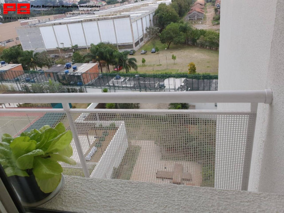 Imagem Apartamento com 4 Quartos à Venda, 234 m² em Rio Pequeno - São Paulo