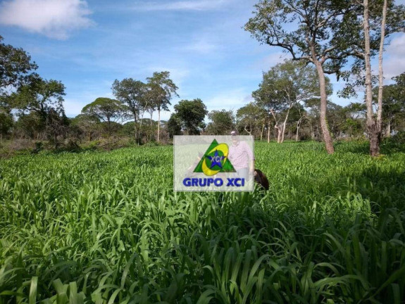 Imagem Fazenda à Venda, 280.000.000 m² em Zona Rural - Cocalinho