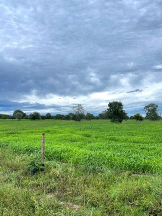 Imagem Fazenda à Venda, 500 m² em Zona Rural - Aliança Do Tocantins