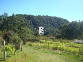 Fazenda à Venda, 8.500 m² em Zona Rural - Itaara