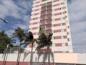 Apartamento com 3 Quartos à Venda, 65 m² em Vila Vianelo
