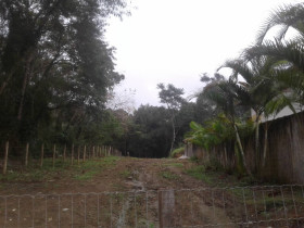 Terreno à Venda, 250 m² em Sertão Da Quina - Cachoeira - Ubatuba