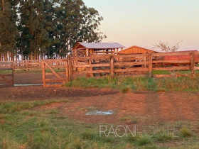 Fazenda à Venda, 21.240.000 m² em Zona Rural