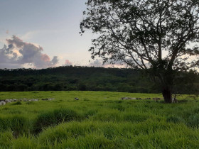 Fazenda à Venda, 280 m² em área Rural De Unaí - Unaí