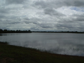 Imóvel à Venda,  em Região Do Araguaia Xingu - São Félix Do Araguaia