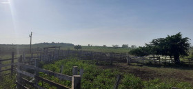 Fazenda à Venda, 1.400 m² em Alenquer