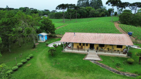 Chácara à Venda, 5.400 m² em área De Quitandinha - Quitandinha