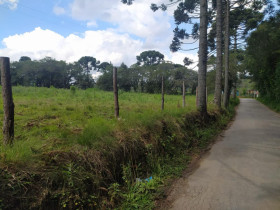 Terreno à Venda, 5.000 m² em Contenda - São José Dos Pinhais