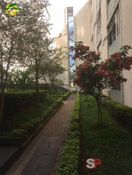 Apartamento com 2 Quartos à Venda, 51 m² em Parque Peruche - São Paulo