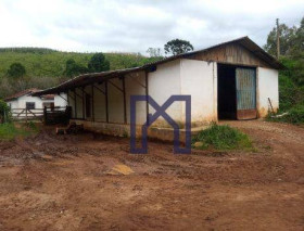 Fazenda à Venda, 205.000 m² em Caetés - Maria Da Fé