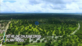Fazenda à Venda, 2.000.000 m² em Patos Dos Liberatos - Chorozinho
