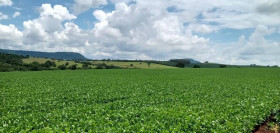Fazenda à Venda, 109 m² em Rural - São Sebastião Do Paraíso