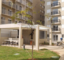 Apartamento com 2 Quartos à Venda, 36 m² em Vila Palmeiras - São Paulo