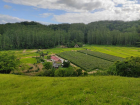 Fazenda à Venda, 60.000 m² em Centro - Ascurra