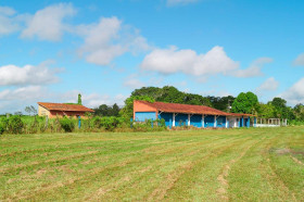Fazenda à Venda,  em Castanhal