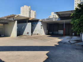 Terreno para Alugar, 550 m² em Vila Mascote - São Paulo