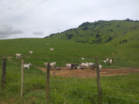 Fazenda à Venda, 1.930.000 m² em Centro - Trajano De Morais