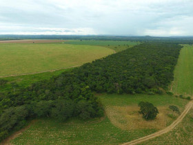 Fazenda à Venda, 1.320 m² em área Rural De Unaí - Unaí