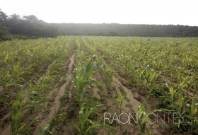 Fazenda à Venda, 1.710.000 m² em Zona Rural - São Pedro