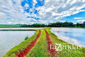 Fazenda à Venda, 187.200 m² em Vila Nova - Toledo