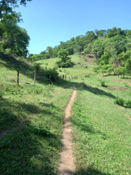 Chácara à Venda, 6 m² em Zona Rural - Taquaral De Goiás